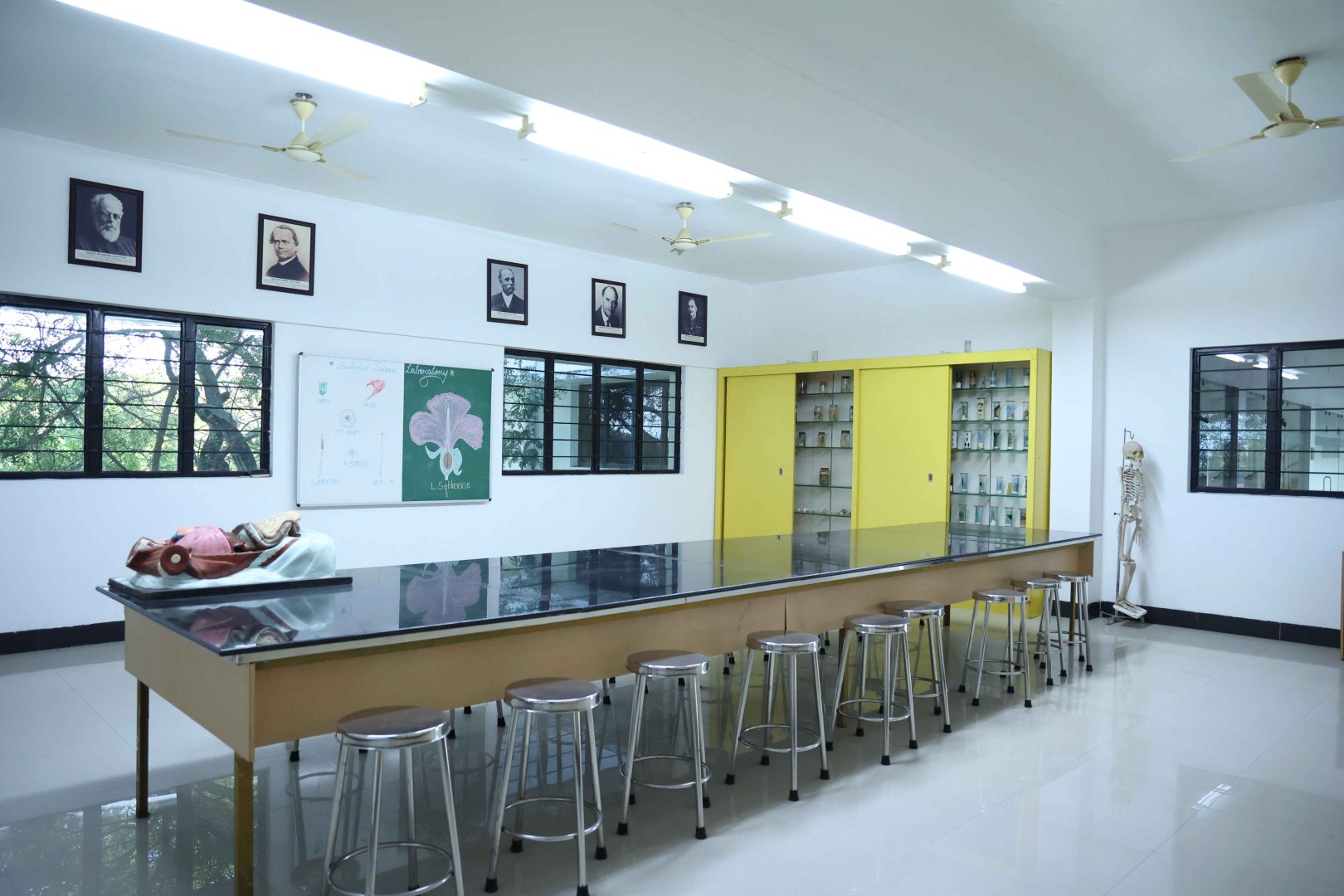 Science Labs