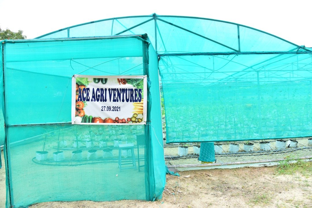 Eco Initiatives